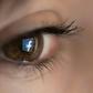 Facebook has stirred criticism over its decision to avoid fact-checking politicians and political ads, raising fears that this will fuel misinformation