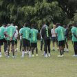 Super Eagles of Nigeria (Twitter/Super Eagles)