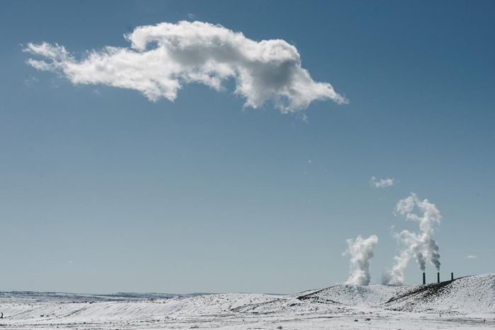 California Counties Sue to Block Trump's New Green Card Test