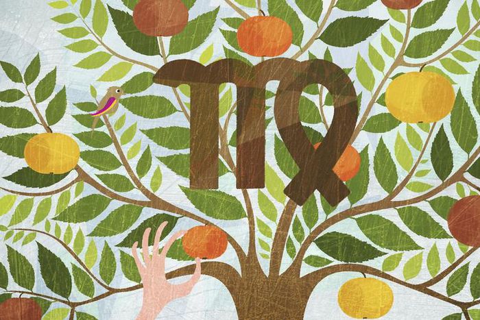 What Virgo Season Means For Your Zodiac Sign