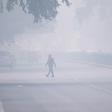 India's top court ordered a complete halt to stubble burning around Delhi as a lethal smog blanketed the capital