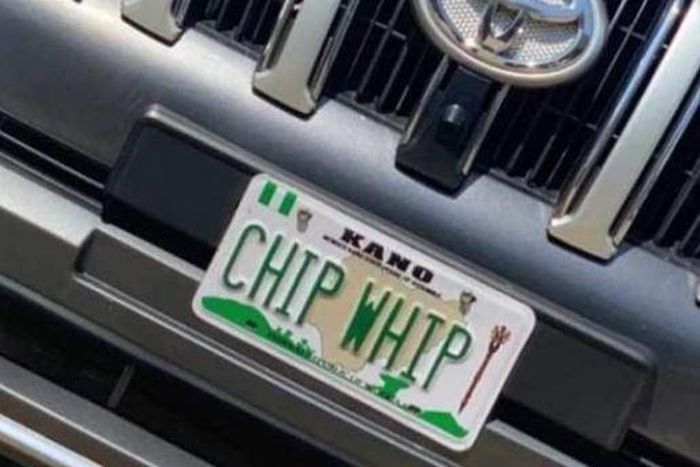 Chip Whip (The Cable)