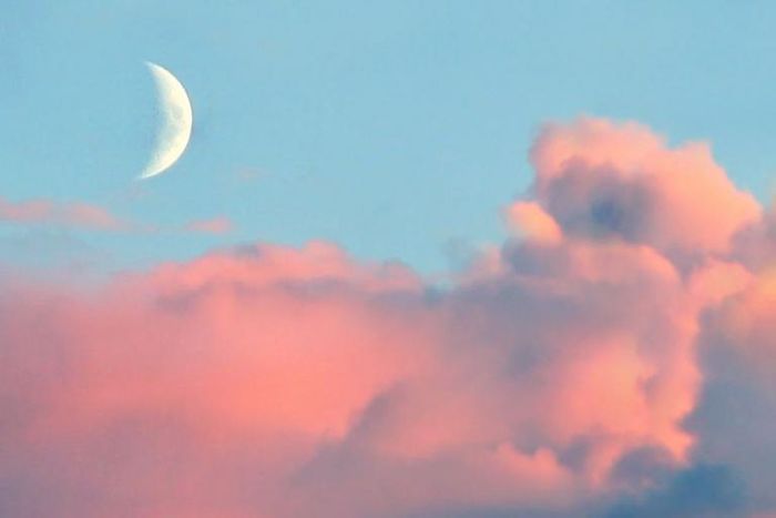 What The New Moon In Virgo Means For Your Sign