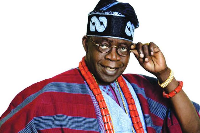 The Tinubu family is recognised for their business acumen and political strategy prowess