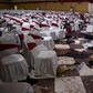 The death toll from an Islamic State attack on a Shia wedding party in Afghanistan has reached 80, officials said
