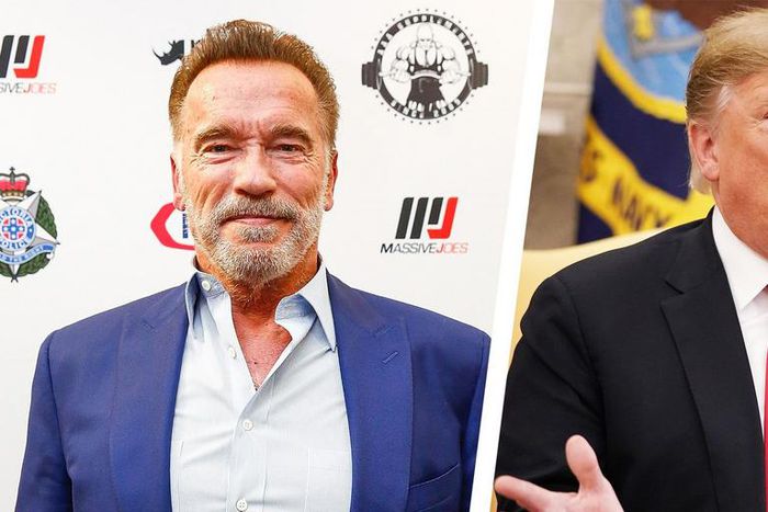 Schwarzenegger on Trump: 'He's in Love With Me'