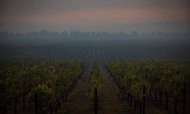 PG&E to Shut Off Power for Nearly 1 Million Customers as Californians Flee Fires