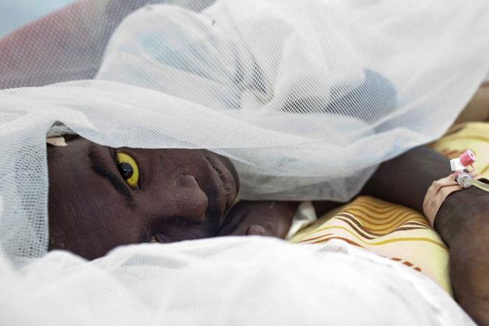 NCDC aware of a suspected outbreak of Yellow fever in Ebonyi state  [Vanguard]