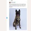 President Donald Trump said the picture of the military dog that helped capture jihadist leader Abu Bakr al-Baghdadi had been "declassified"