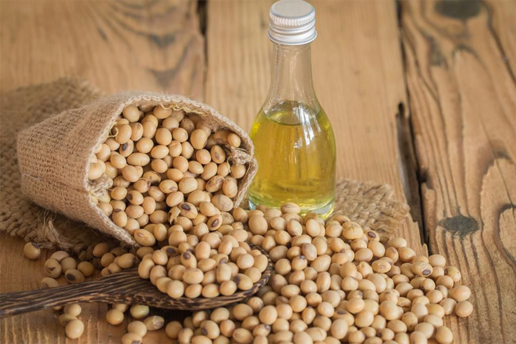 soybean oil