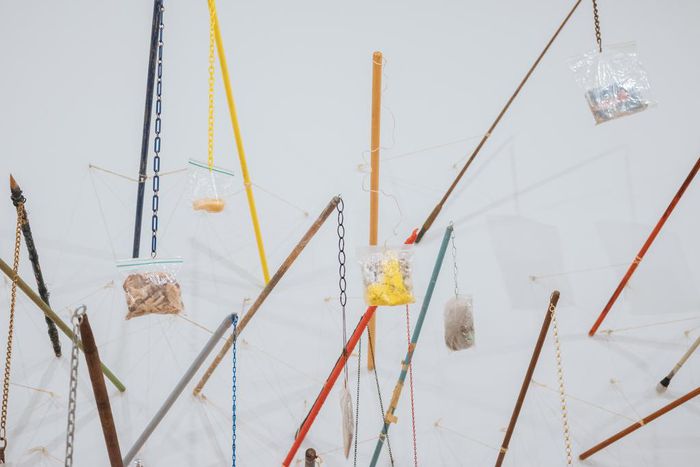 Trash-Stalking With Rachel Harrison