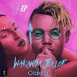 EP Review: 'Wakanda Jollof' by Ola Kira. (Buki HQ)