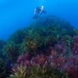 Known as "ghost gear", abandoned fishing objects make up a significant volume of plastic pollution in seas and oceans around the world