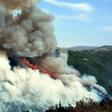 Forest fires have erupted in large swathes of land in Lebanon and Syria