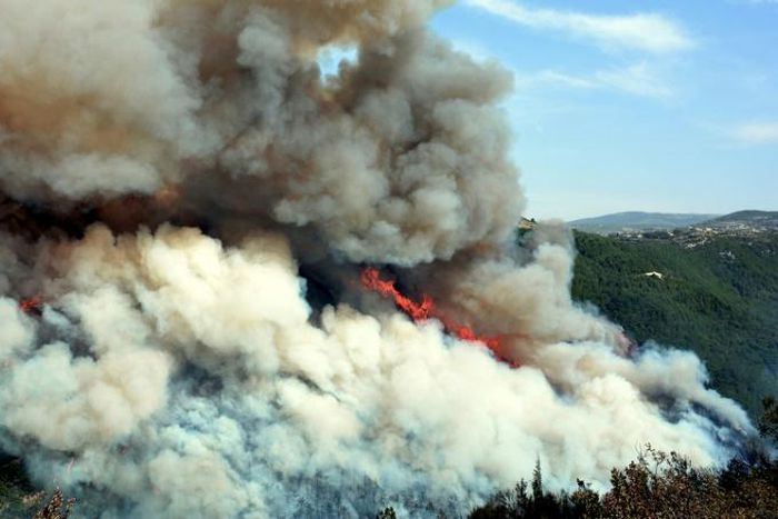 Forest fires have erupted in large swathes of land in Lebanon and Syria