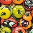 Stuffed Rainbow Tomatoes Recipe