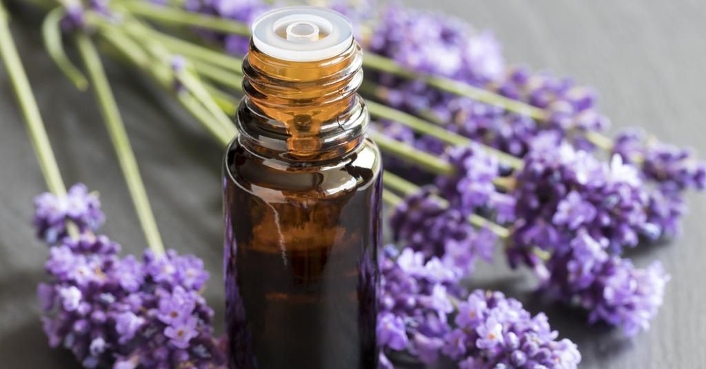 lavender oil