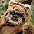 Ewoks Might Return in 'The Rise of Skywalker'