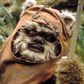 Ewoks Might Return in 'The Rise of Skywalker'