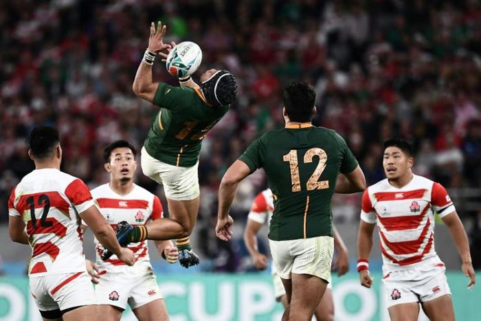 South Africa's wing Cheslin Kolbe is ready to take to the skies against England