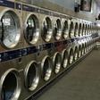 A Malaysian man was sentenced to 34 months in jail for killing a pregnant cat by stuffing it into a laundrette dryer
