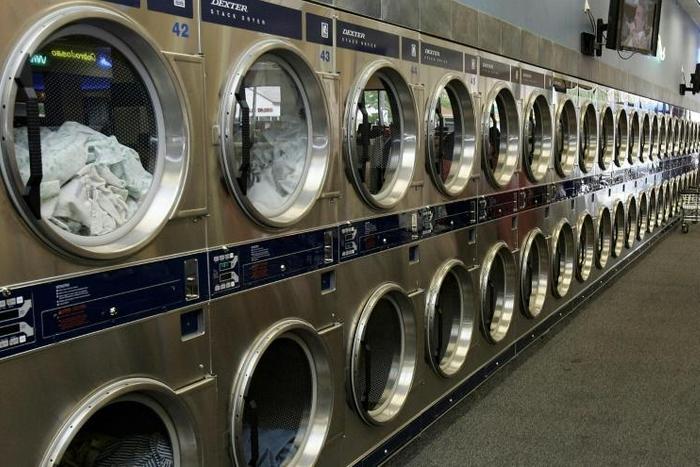 A Malaysian man was sentenced to 34 months in jail for killing a pregnant cat by stuffing it into a laundrette dryer