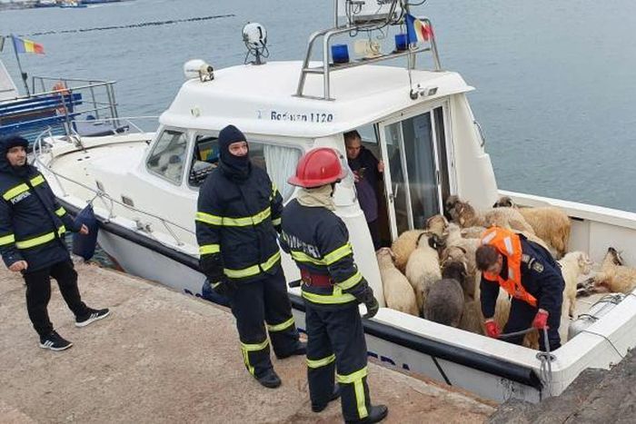"The rescue operation is ongoing," a spokeswoman for the rescue services said. "We hope that the sheep inside the ship's hold are still alive"
