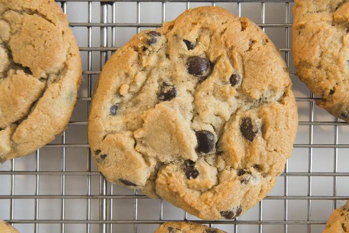 Dr. Pimple Popper Pops Blackhead