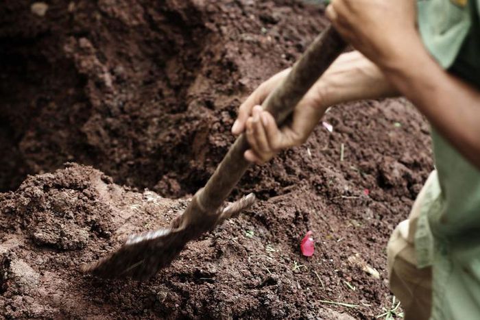 Dr. Pimple Popper Pops Blackhead Cyst Combo