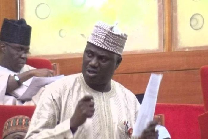 Senator Aliyu Sabi Abdullahi (Premium Times)