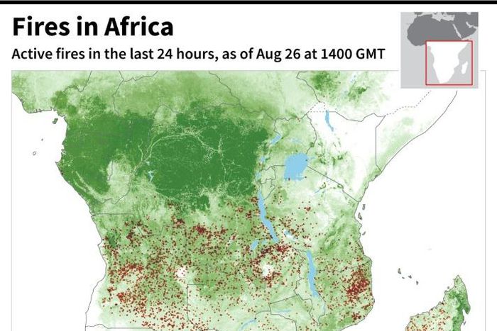 Active fires in sub-Saharan Africa over the last 24 hours.