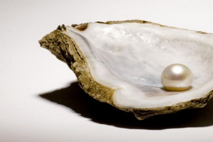 Watch Dr. Pimple Popper Squeeze a Juicy Milium Cys