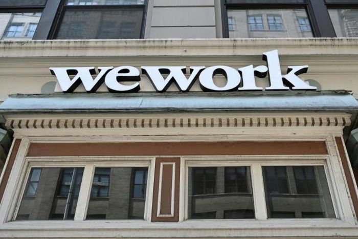 Some investors are worried about skepticism surrounding WeWork's business model and want its planned initial public offering to be pushed to 2020, sources said
