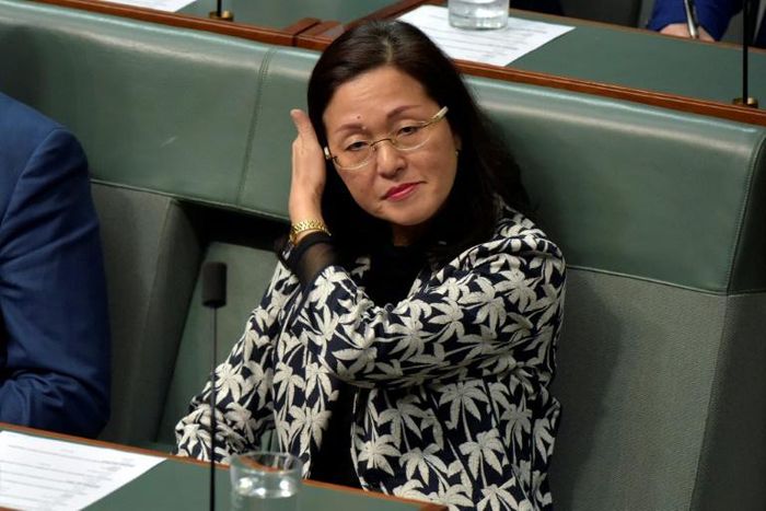 Gladys Liu, the first Chinese-Australian woman elected to the country's parliament, has been accused of being a member of organisations linked to China's ruling party