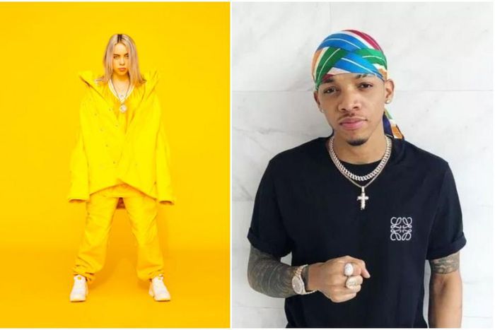 American star, Billie Eilish sings Tekno's 'Agege.' (Coup De Main/GofreshNow)