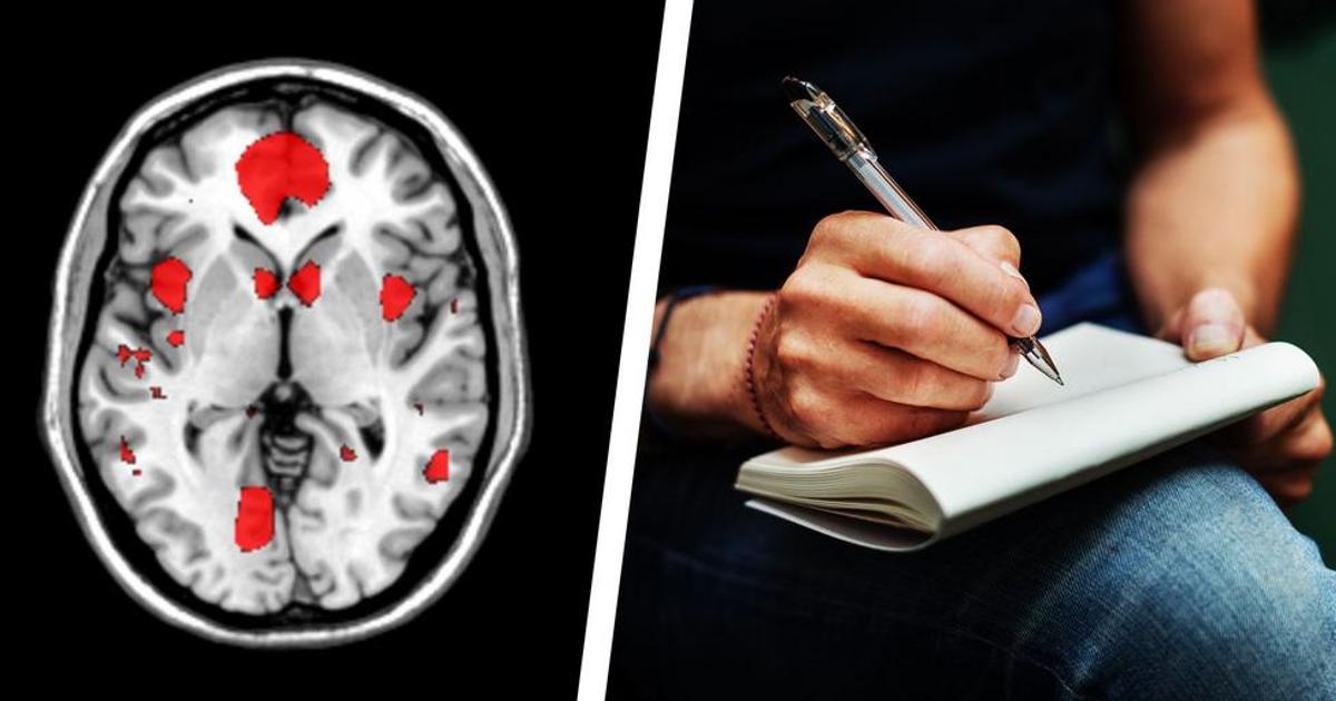 How to Train Your Memory | Pulse Nigeria