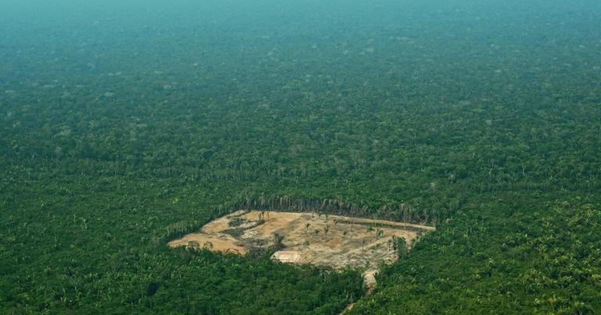 Five things to know about the Amazon | Pulse Nigeria