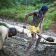 The army in June said it had forced more than 10,000 miners from land owned by Chinese mining giant TFM