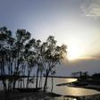 Cyclone Bulbul is set to make landfall near the Sundarbans on the Bangladesh coast