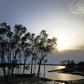 Cyclone Bulbul is set to make landfall near the Sundarbans on the Bangladesh coast
