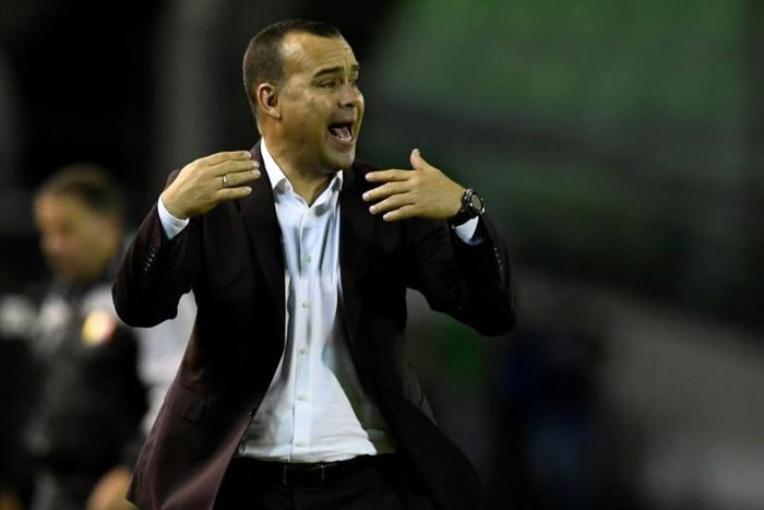 Venezuela's coach Rafael Dudamel has stepped down  after nearly four years in charge