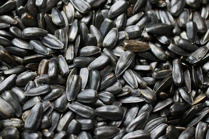 10 cancer-causing foods you probably eat every day