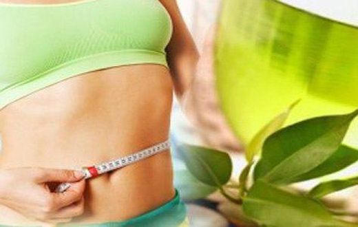 Green tea and weight loss