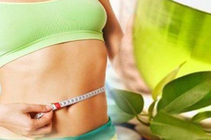 Green tea and weight loss