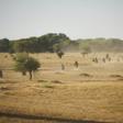 Burkina Faso soldiers patrol a rural area in the country's north in November 2019
