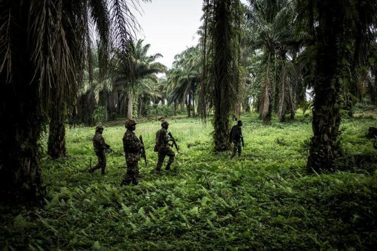Troops from the UN's stabilisation force in the region began working with DR Congo forces against the militia in late October