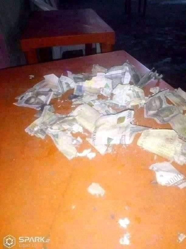 Man in tears as an evil rat destroys his Christmas savings