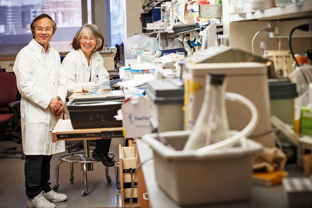 Kun Ping Lu, M.D., Ph.D., and Xiao Zhen Zhou, M.D., are creating an antibody that could help prevent brain-impact injuries.