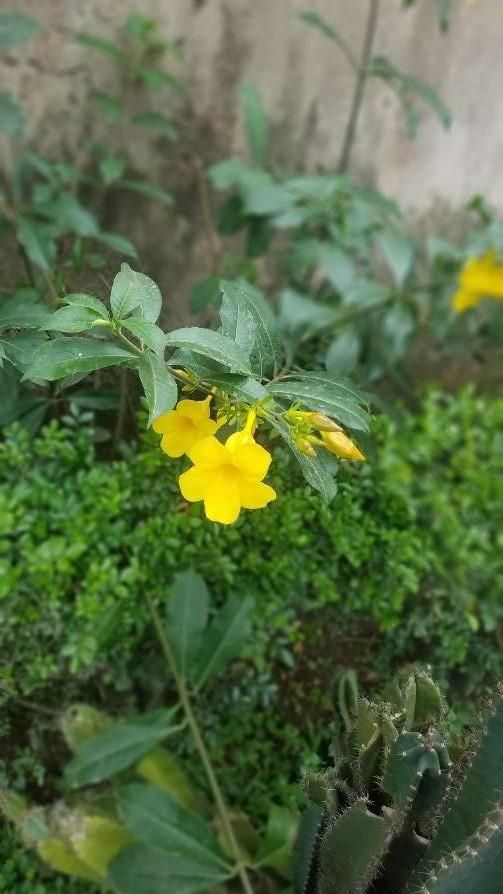 TECNO Spark 4 review: Light up your view on a bigger screen