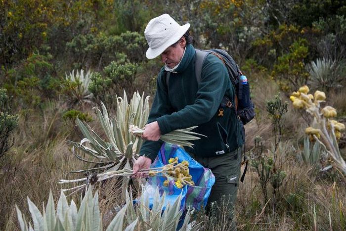 Colombia is second only to Brazil in terms of biodiversity, not just in South America, but the world